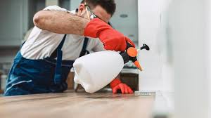 Best Termite Inspection and Treatment  in Bridgman, MI